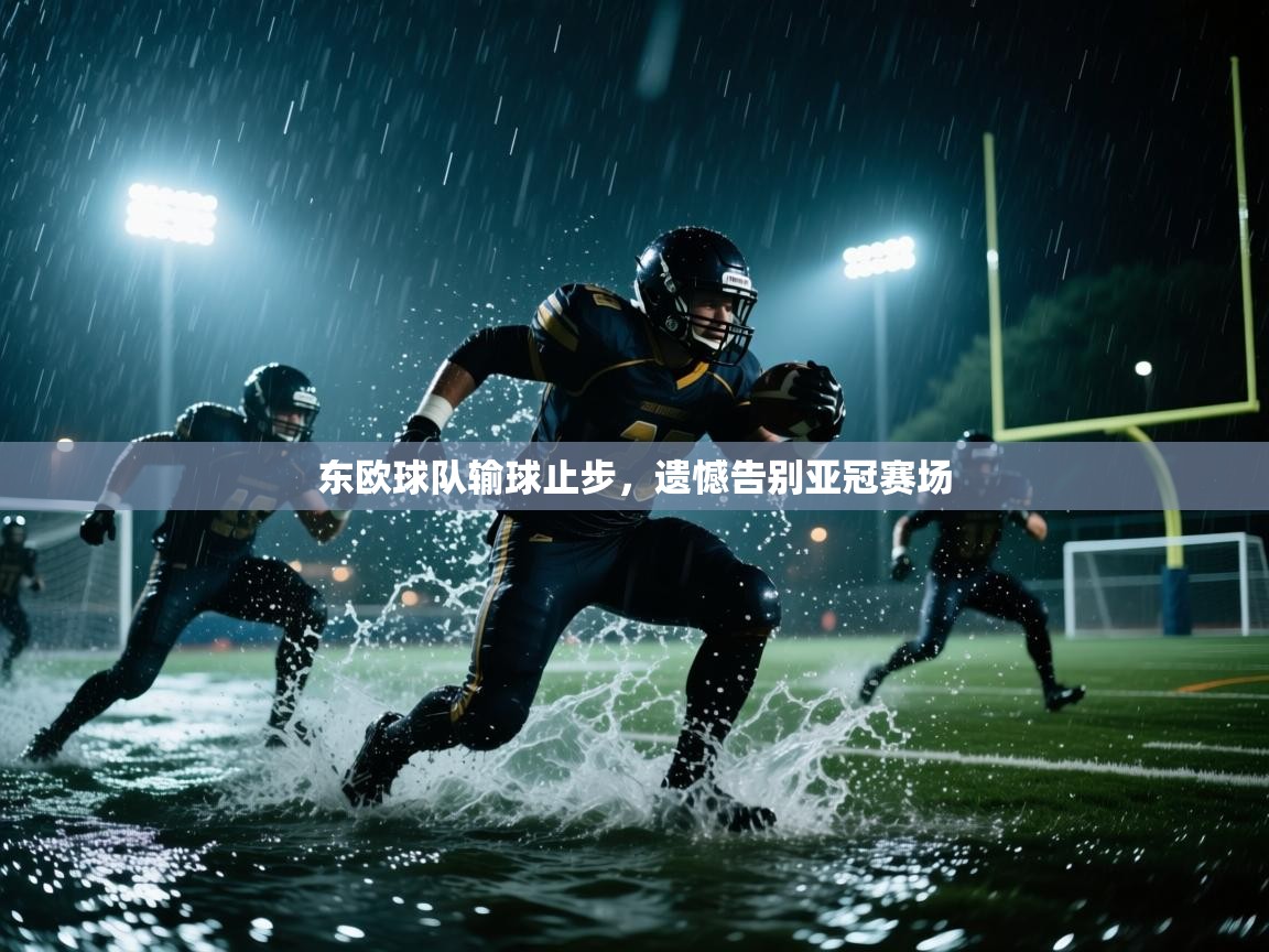 东欧球队输球止步,遗憾告别亚冠赛场 第1张