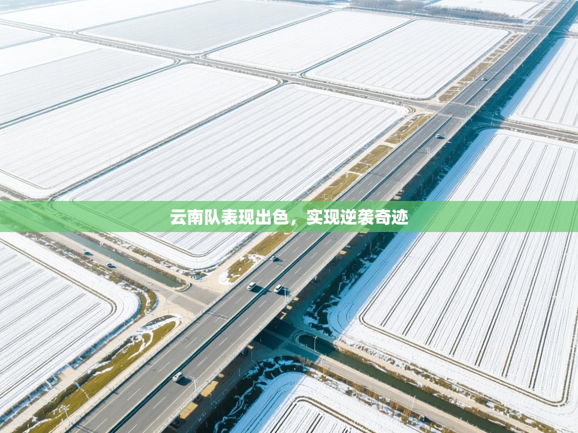 云南队表现出色,实现逆袭奇迹 第1张