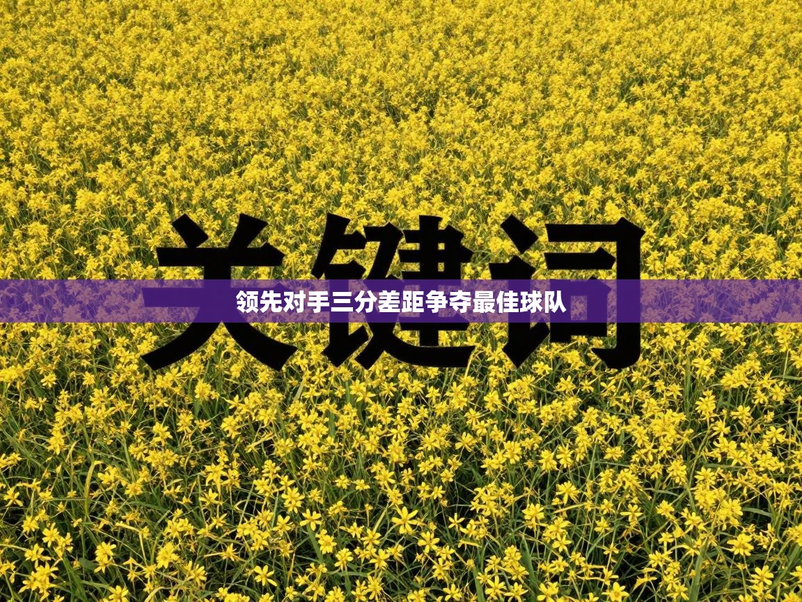 领先对手三分差距争夺最佳球队  第2张