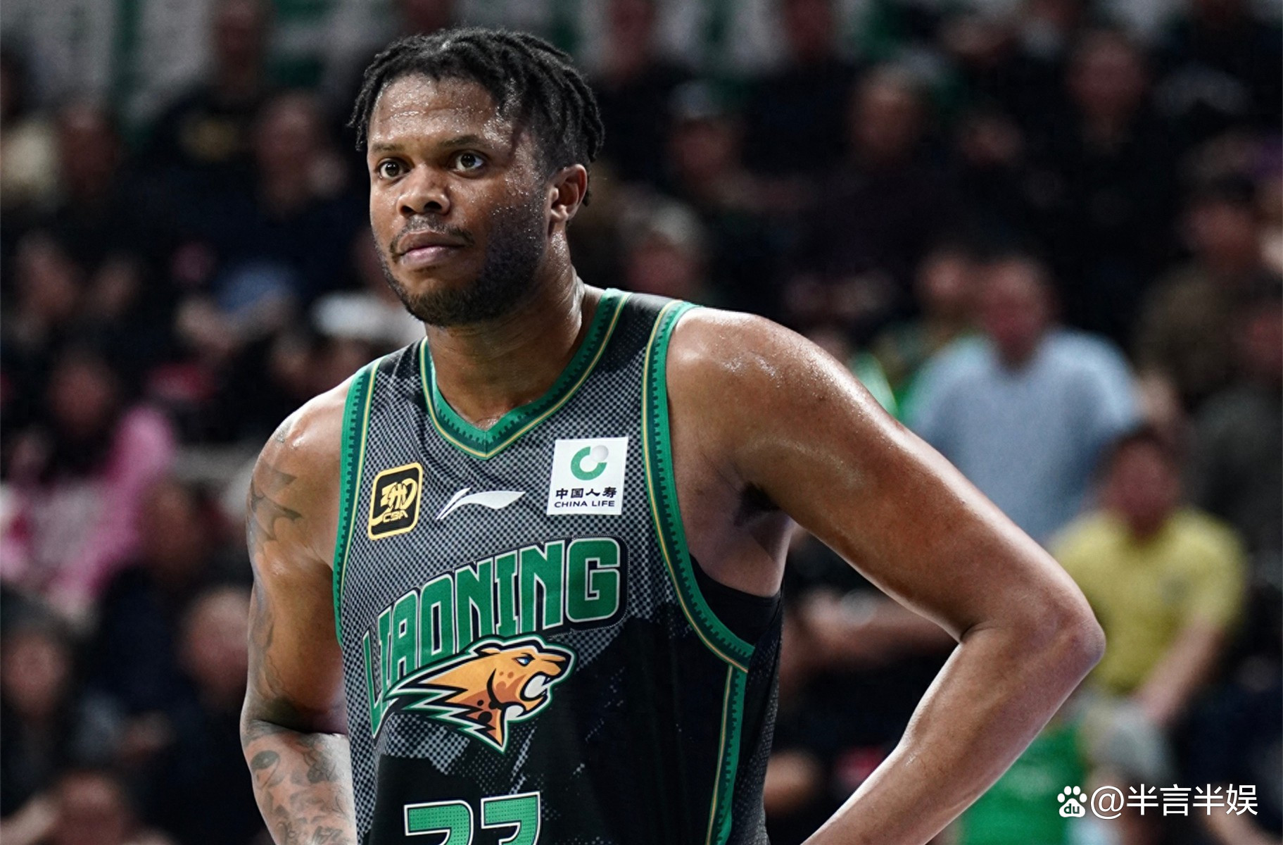 包含帕尔马球迷鼓励球队取得更多胜利，士气高昂的词条